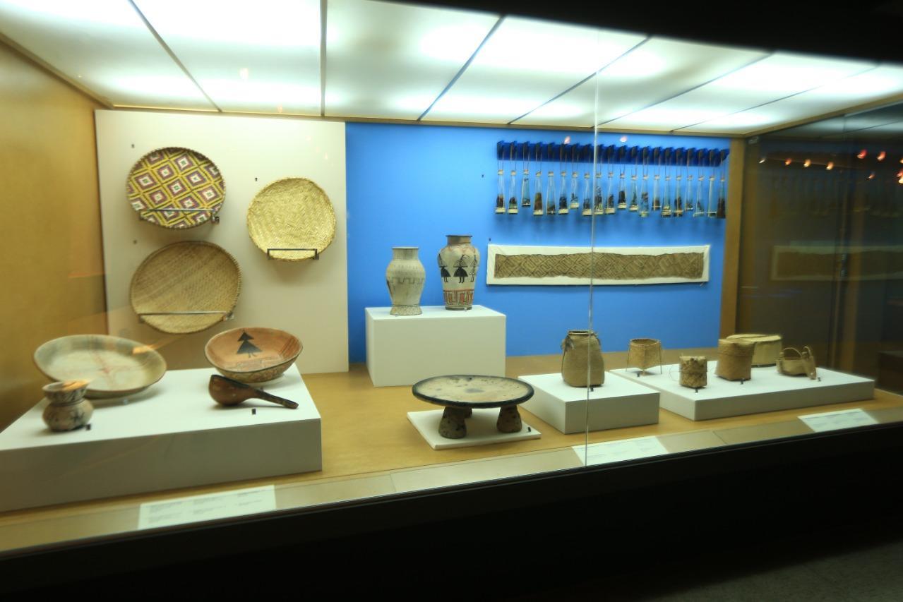 Museu Antropológico da UFG